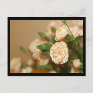 Postcard-Flowers-21 Postcard