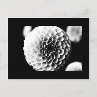 Postcard-Flowers-51 Postcard