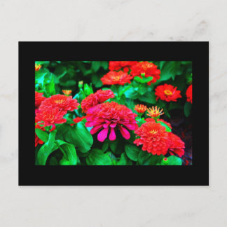 Postcard-Flowers-61 Postcard