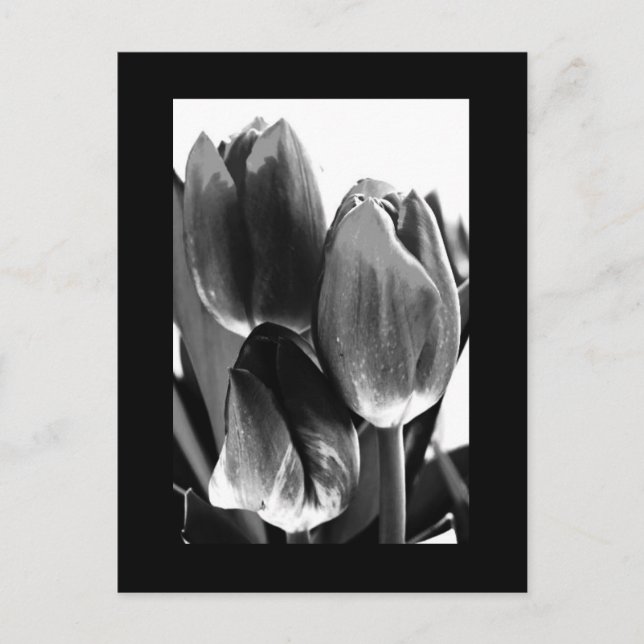 Postcard-Flowers-64 Postcard (Front)