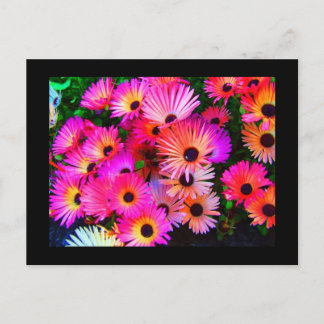 Postcard-Flowers-68 Postcard