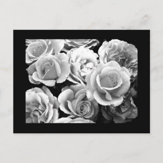 Postcard-Flowers-74 Postcard