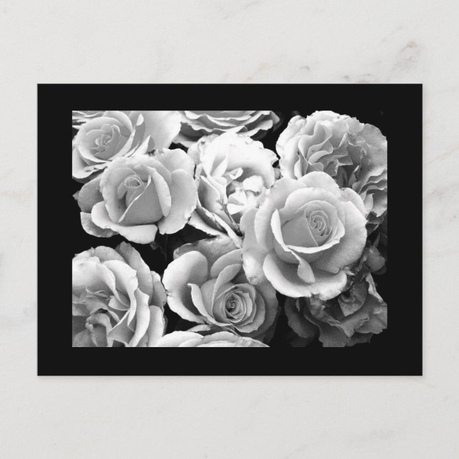 Postcard-Flowers-74 Postcard (Front)