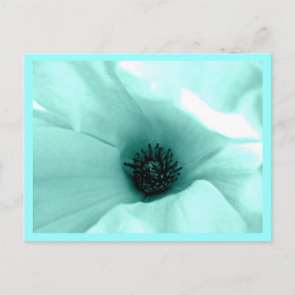 Postcard-Flowers-Painted Flowers 9 Postcard