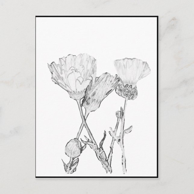 Postcard - Flowers to Color (Front)