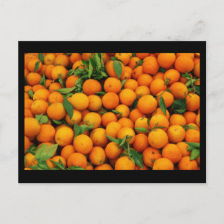 Postcard-Food/Drink-21 Postcard