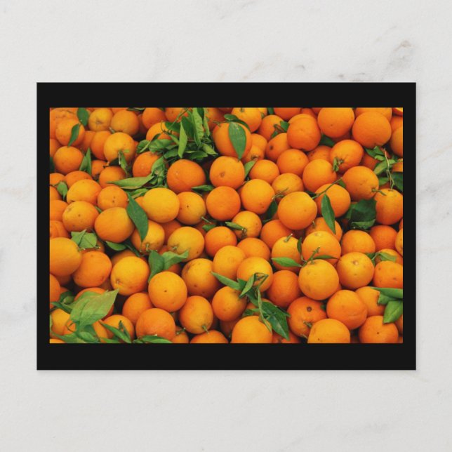 Postcard-Food/Drink-21 Postcard (Front)