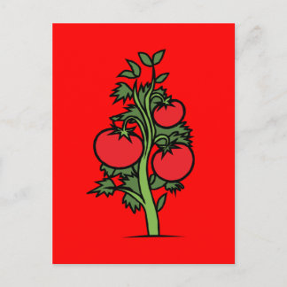 Postcard-Food/Drink-24 Postcard