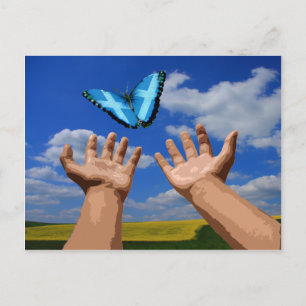 Postcard Free Scotland Butterfly