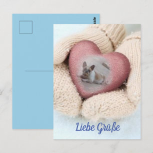 Postcard French Bulldogs