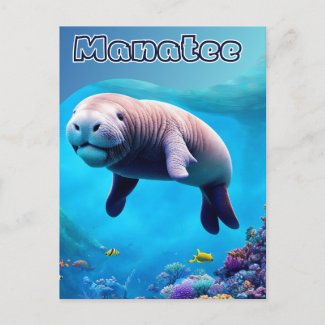 Postcard from Florida, Cute Manatee in deep Ocean