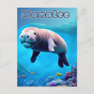 Postcard from Florida, Cute Manatee in deep Ocean