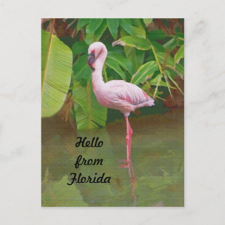 Postcard From Florida With Pink Flamingo