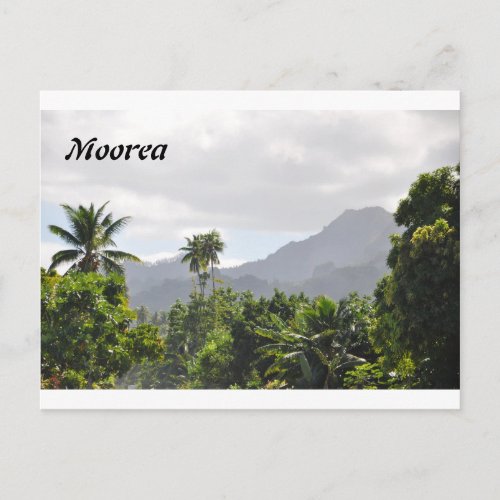 Postcard from Moorea French Polynesia