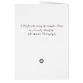 Postcard From Paris (Back)