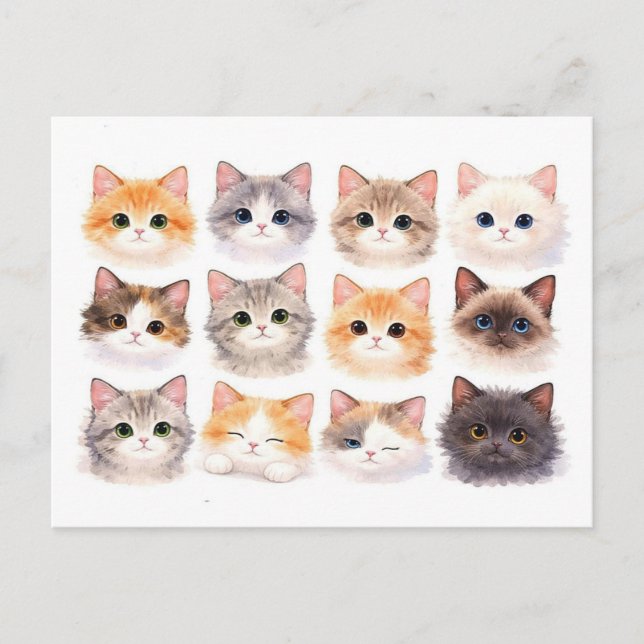 Postcard. Funny kittens Postcard (Front)
