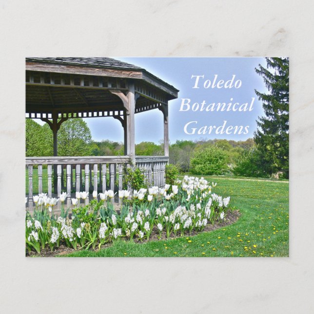 POSTCARD, "GAZEBO AND WHITE TULIPS"/TOLEDO BOTANIC POSTCARD (Front)