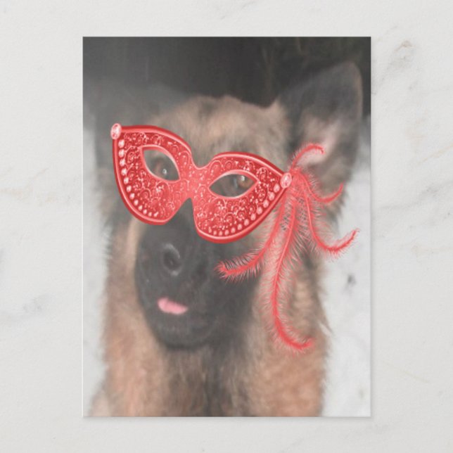 Postcard German Shepherd Mardi Gras Mask Red (Front)