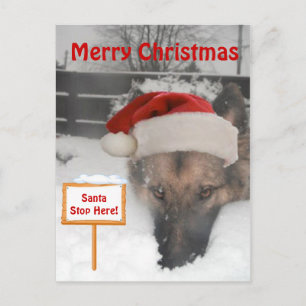 Postcard German Shepherd Santa Stop Here Sign
