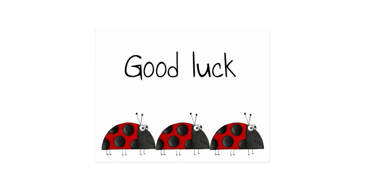 Postcard Good Luck Congratulation Map Ladybird Zazzle Com