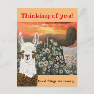 Postcard.  Good Things Are Coming Mama Llama Postc Postcard