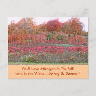 POSTCARD, "HILLSIDE ABLAZE WITH COLOR" (MICHIGAN) POSTCARD