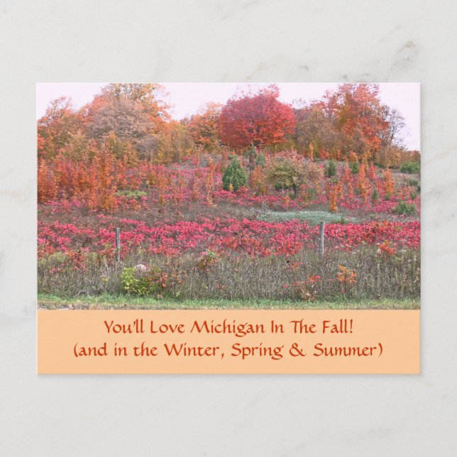 POSTCARD, "HILLSIDE ABLAZE WITH COLOR" (MICHIGAN) POSTCARD (Front)