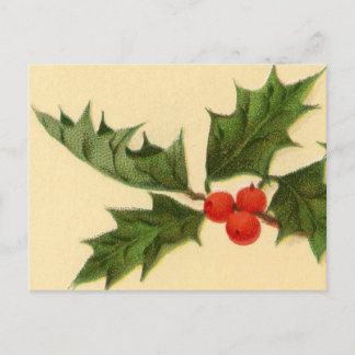 Postcard:  Holly Sprig Postcard