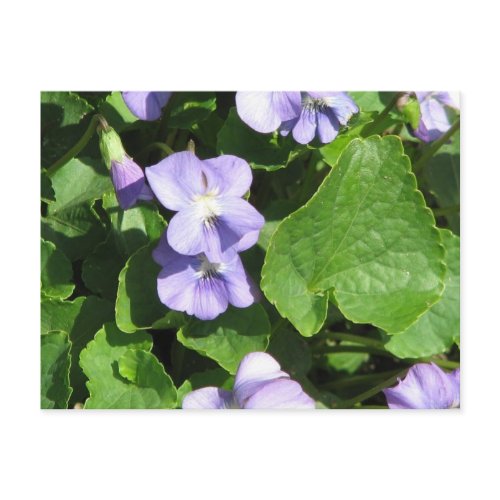 Postcard Horizontal Template - Customized