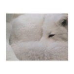 Postcard Horizontal Template - Customized