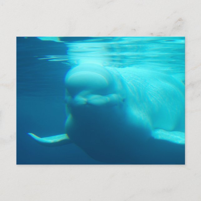 Postcard Horizontal Template - Customized (Front)