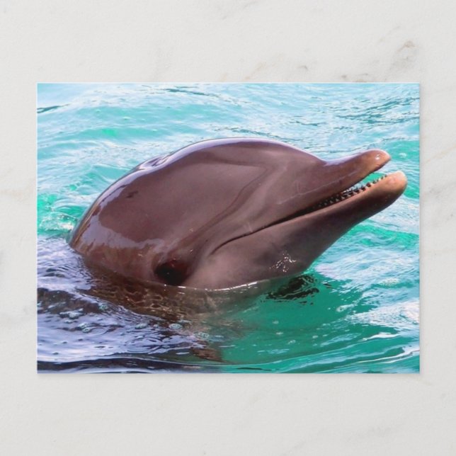 Postcard Horizontal Template - Customized (Front)