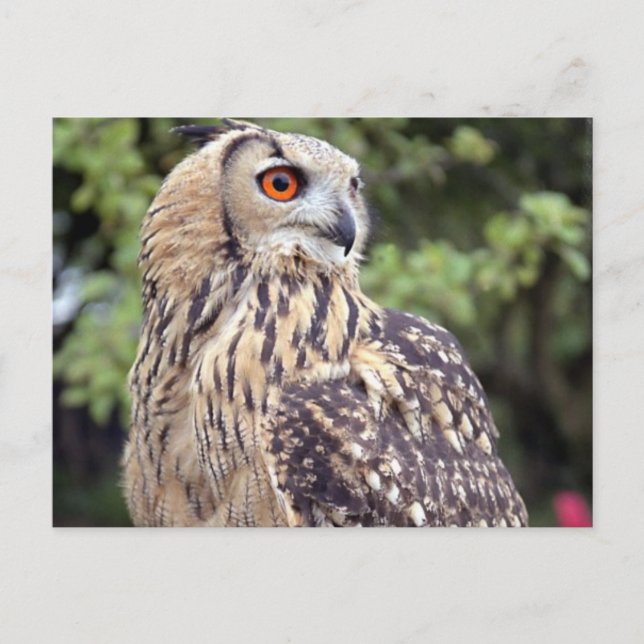 Postcard Horizontal Template - Customized (Front)