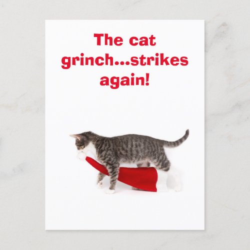 Postcard Humor Cat takes off Christmas cap