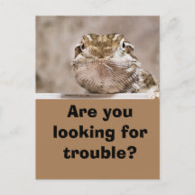 Postcard Humor Echs looks challenging