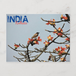 Postcard - India - Kolkata - Indian Spring
