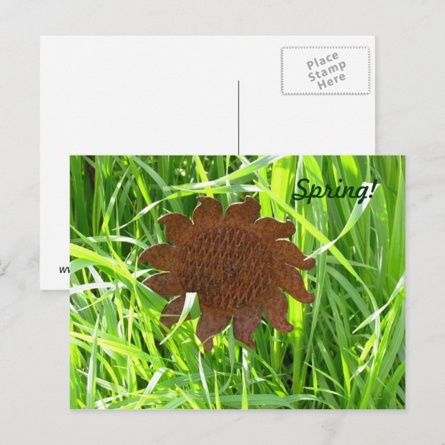 Postcard - Iron Sunflower in grass (Front/Back)