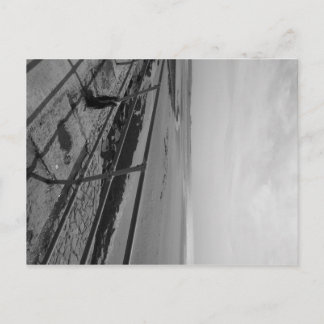 Postcard: Jersey Postcard