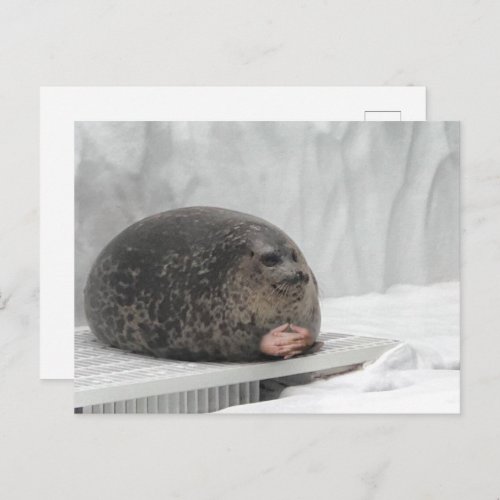 Postcard Judging Seal Meme