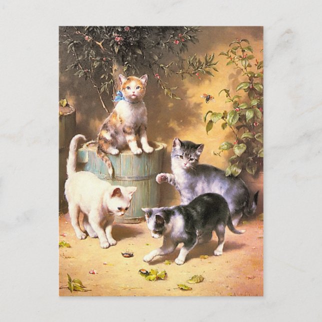 Postcard: "Kittens Playing with Beetles" Postcard (Front)