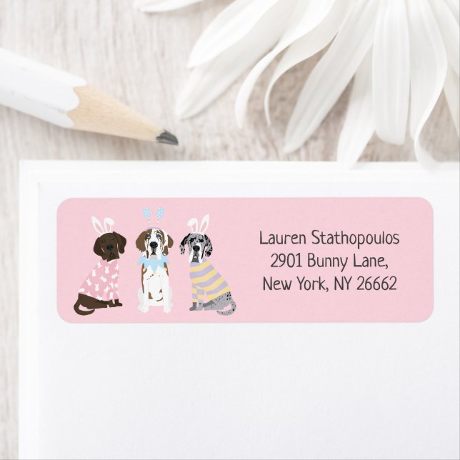 Postcard Label (Insitu)