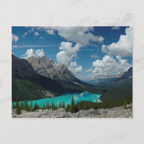 Postcard Lake Peyto in Banff National Park Canada