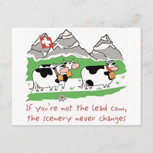 Postcard Lead Cow