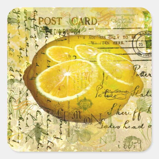 Postcard Lemons Square Sticker (Front)
