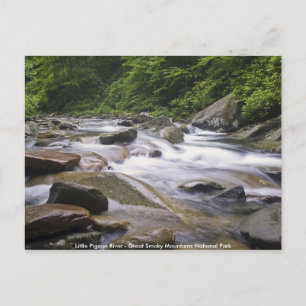 Postcard - Little Pigeon River, Great Smoky Mtns. 