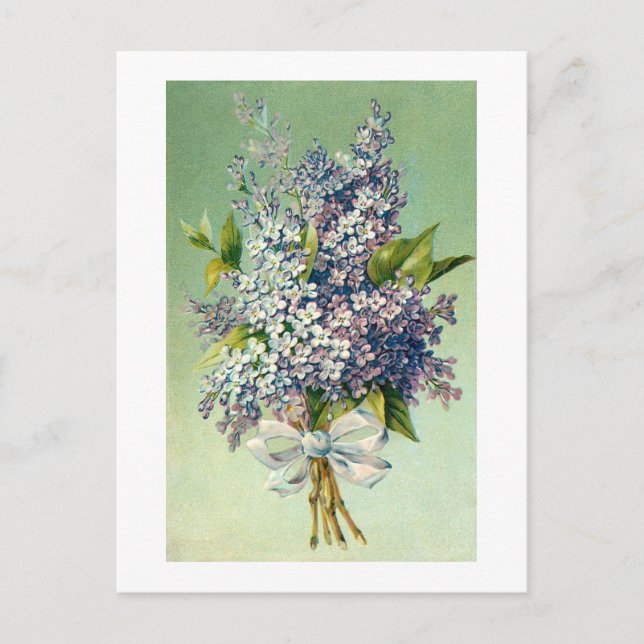 Postcard: Lovely lavender bouquet Postcard (Front)