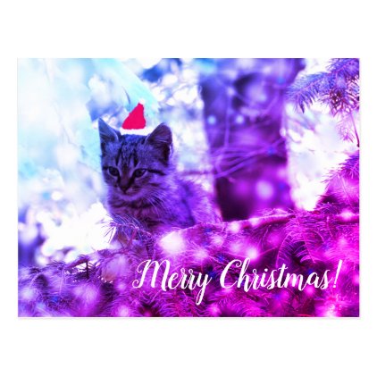 Postcard Merry Christmas Kitten