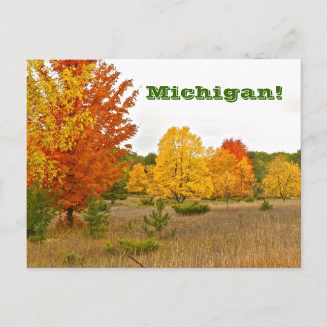 postcard"MICHIGAN COMES ALIVE WITH VIBRANT COLOR" Postcard (Front)