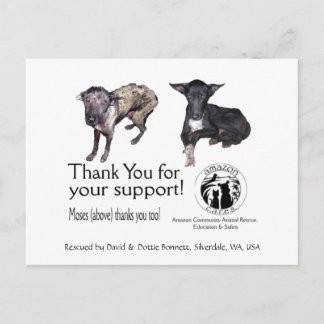 Postcard: Moses, Before & After his Rescue Postcard