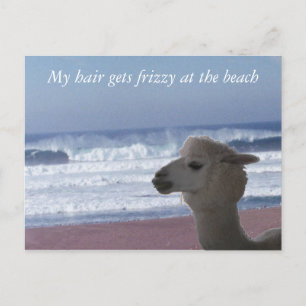 Postcard - My hair gets frizzy ...